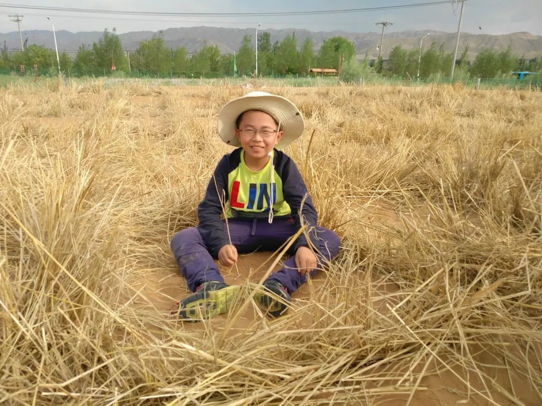 麥草人最新動態(tài)，更新資訊與精彩瞬間 ???