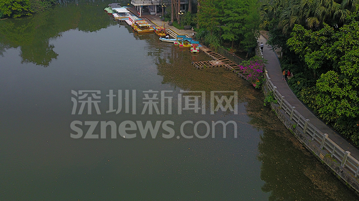 寶雞市
